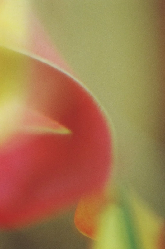 香り03プロダクトイメージ