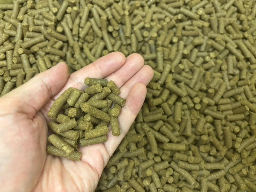 手のひらに盛られた緑色のペレット