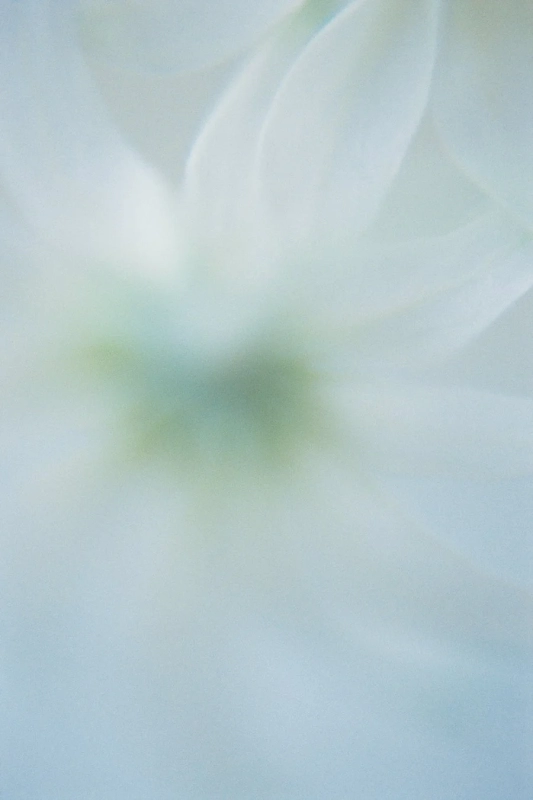 香り01プロダクトイメージ