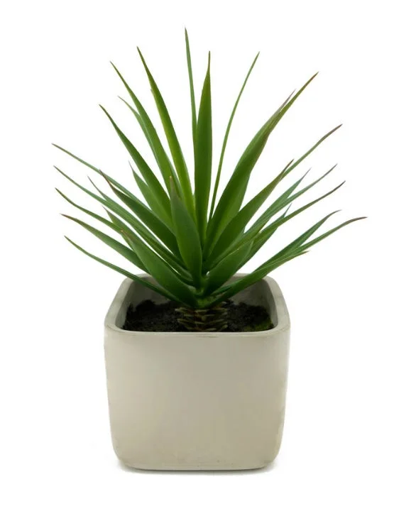 消臭剤配合ルームスプレー