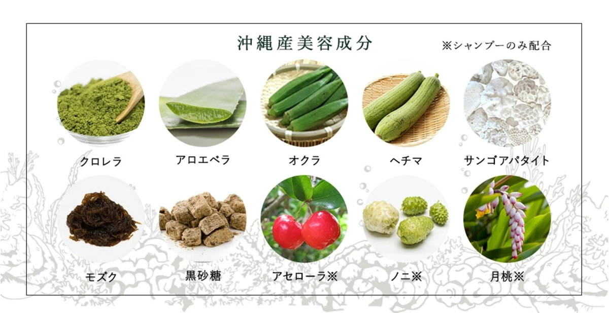 沖縄産美容成分