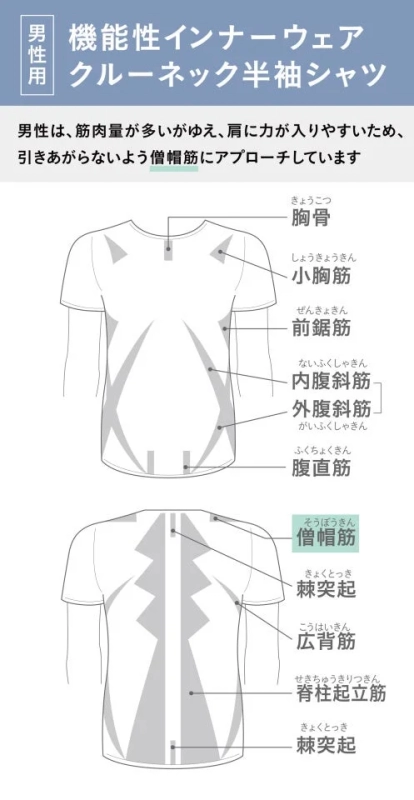 男性用 機能性インナーウェア クルーネック半袖シャツの筋肉アプローチ図