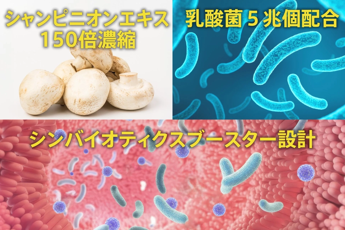 シャンピニオンエキスと乳酸菌の成分説明