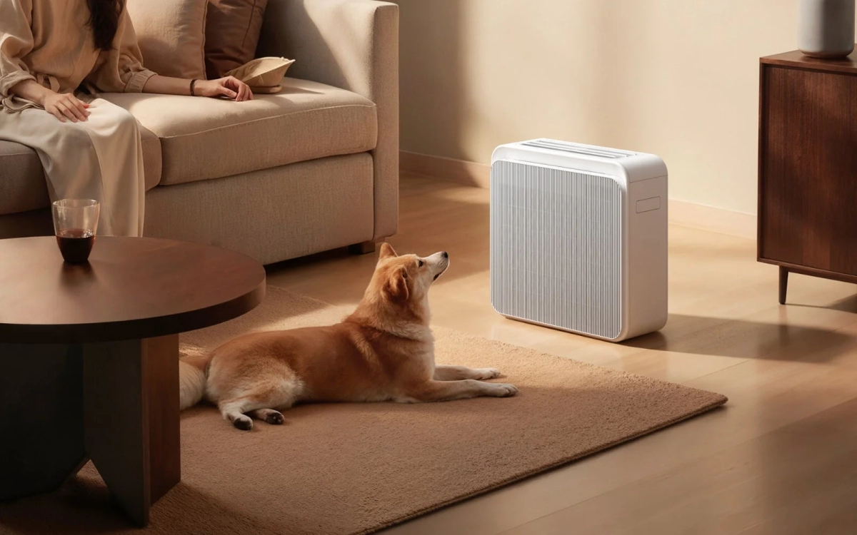 リビングで犬と空気清浄機