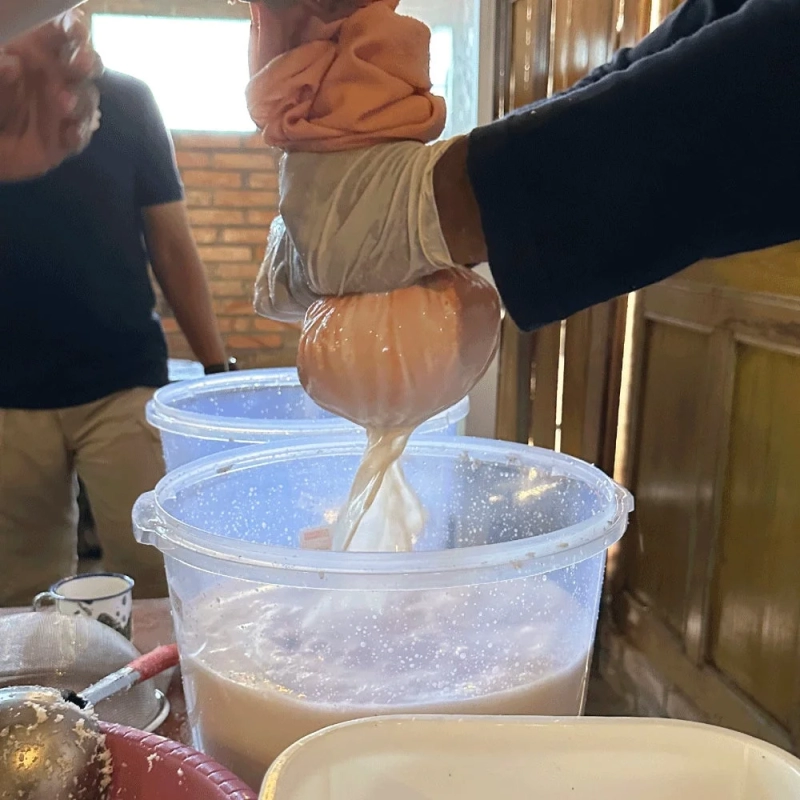 オイル抽出作業