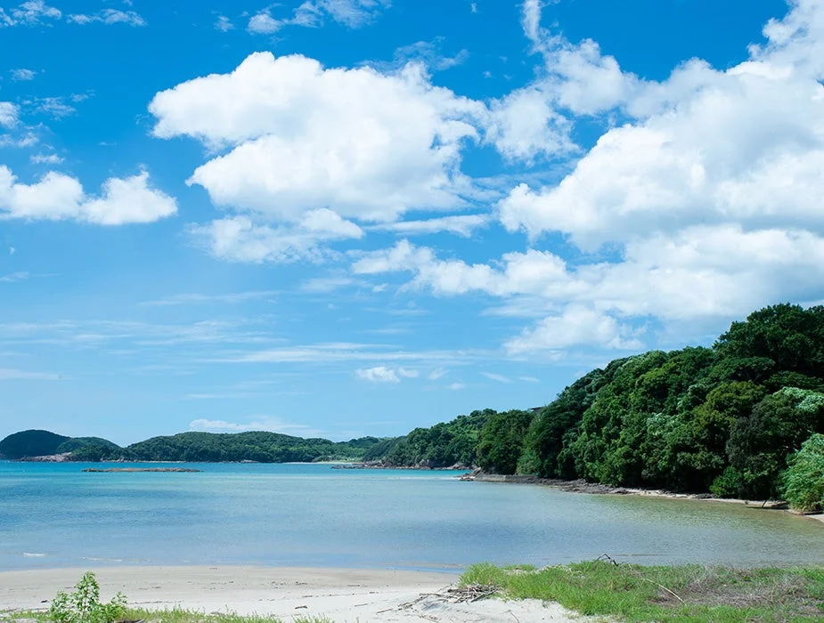 晴れ渡る青空と白い雲の下、穏やかな海と砂浜が広がり、緑豊かな森の丘が連なる美しい海岸風景です。夏を感じさせる爽やかな一日が描かれています。