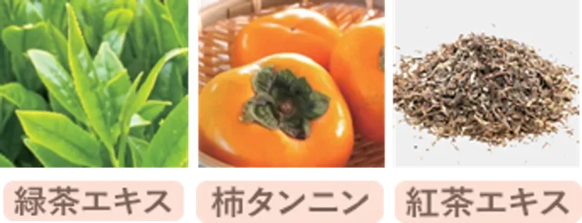 緑茶エキス、柿タンニン、紅茶エキスのイメージ