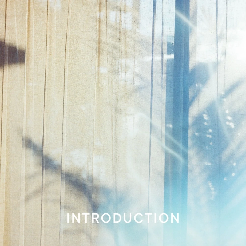 レースのカーテン越しに柔らかな日差しが差し込み、植物のような影が映し出されている画像です。画面下部には「INTRODUCTION」という白い文字があり、穏やかで明るい雰囲気を感じさせます。